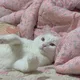 햇빛은쨍쨍모래알은반짝
