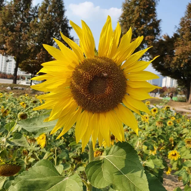 한결같게