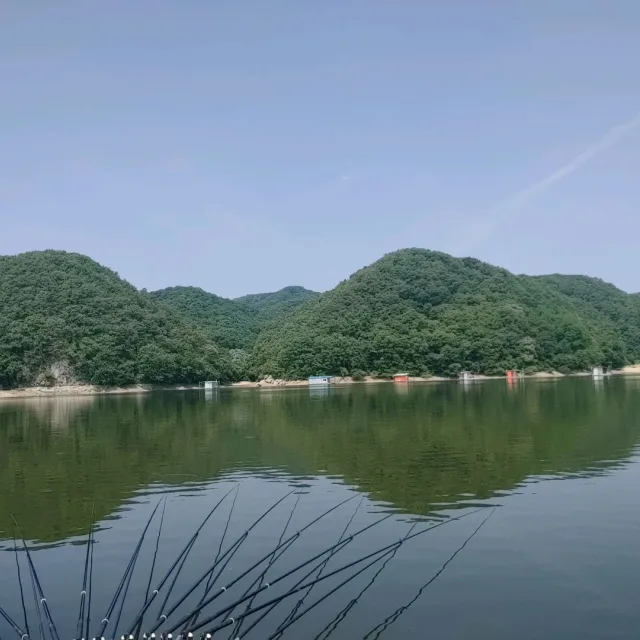 로마