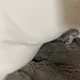 어푸엎