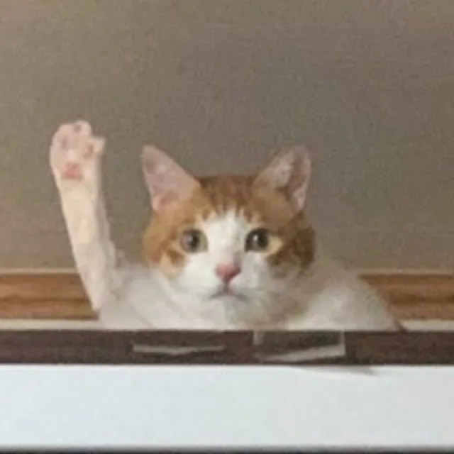 앙곰