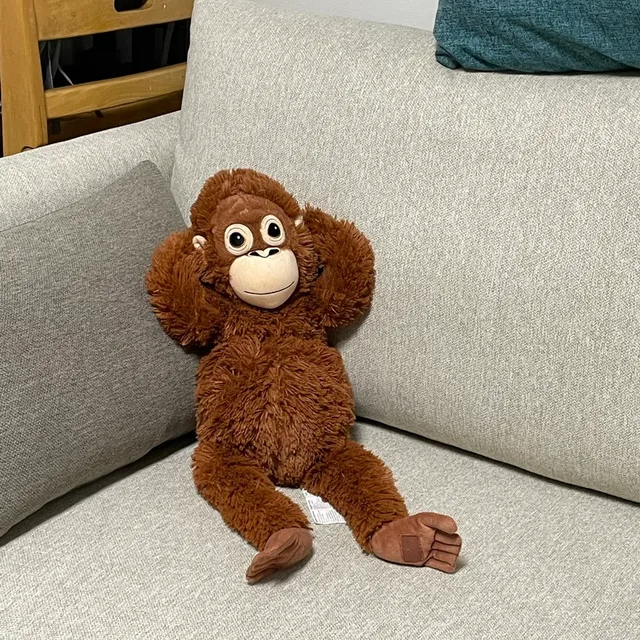 joe