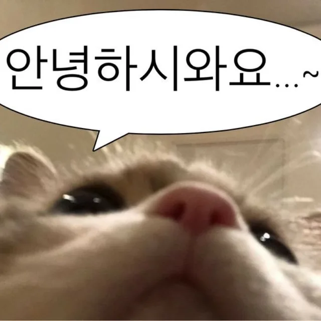 안녕하시와요