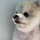 또야