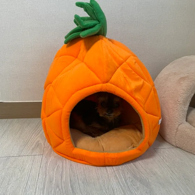 망구