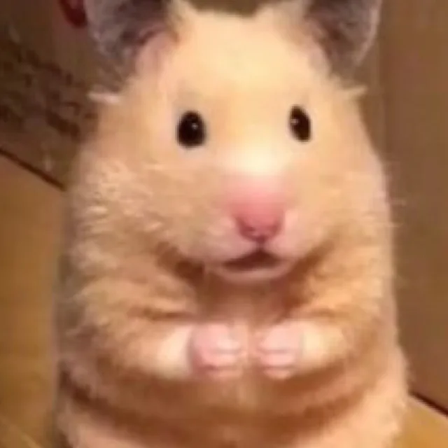 찍찍
