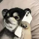 진로