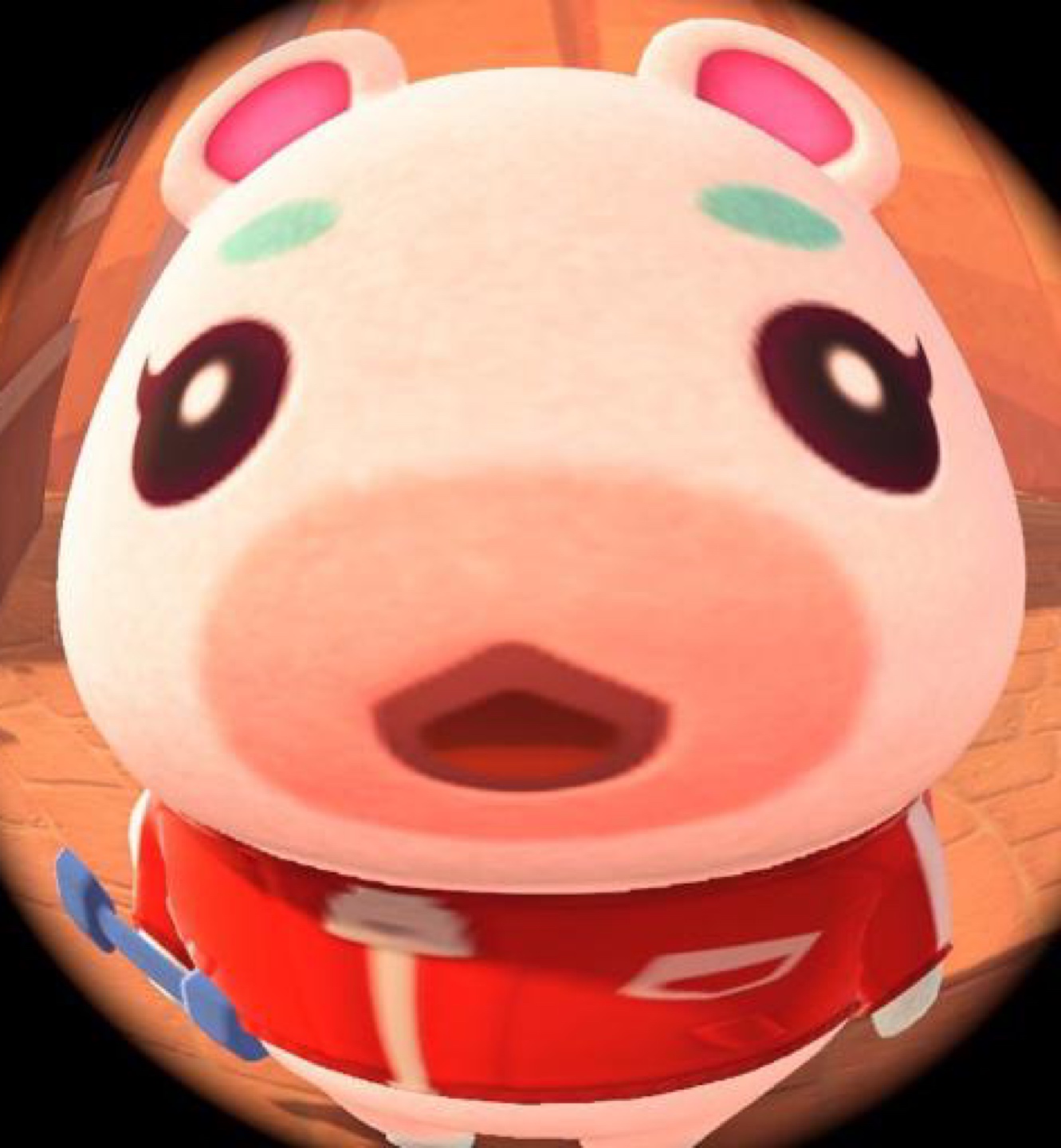 뵤byo