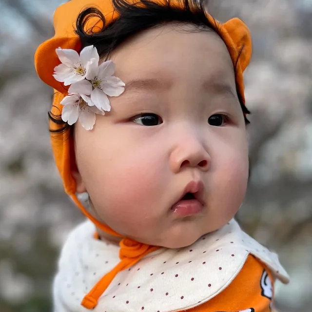두부두루두비