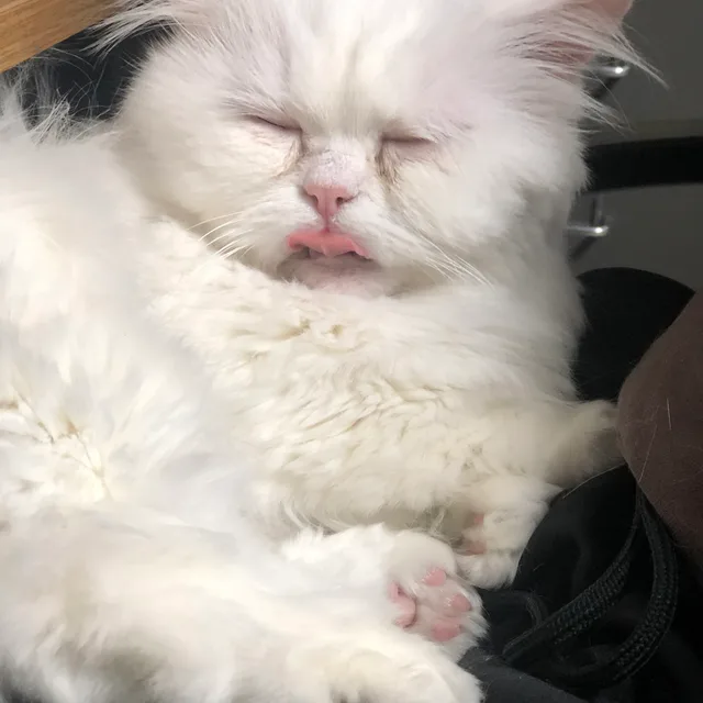 뚜땅별