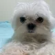 로또야