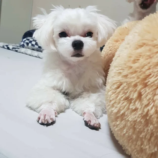 뽕뽕뽕식스