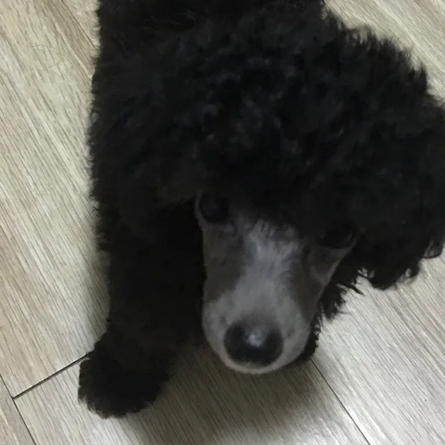 언디너리