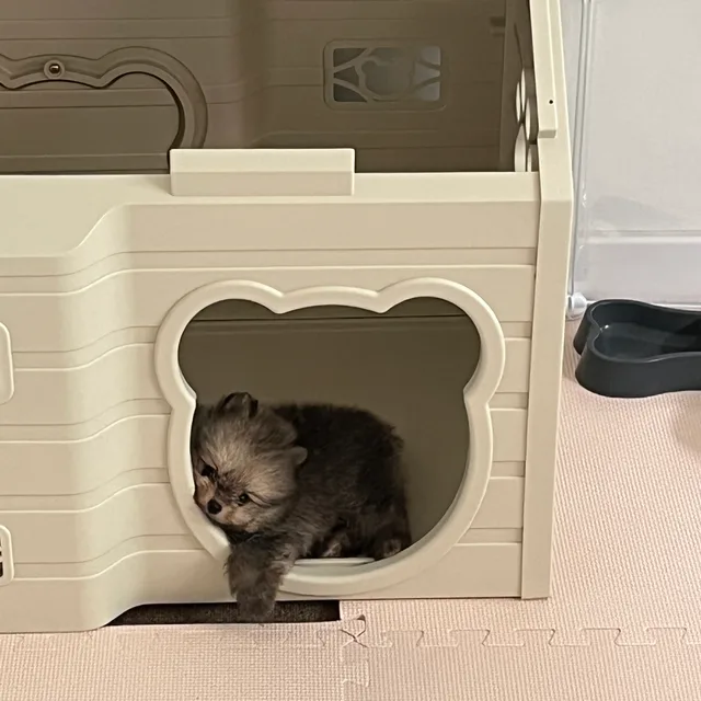 슨뇨