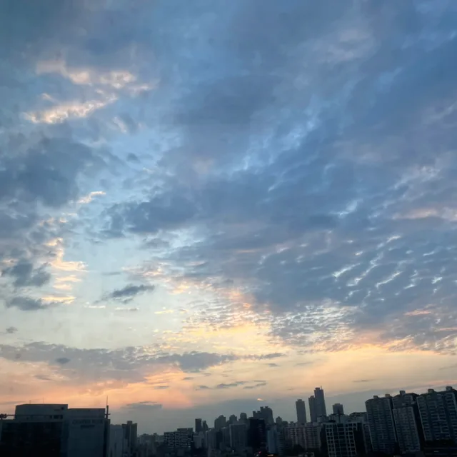 우리집고양이츄르를좋아해