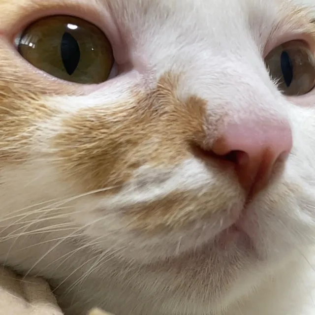 한여름