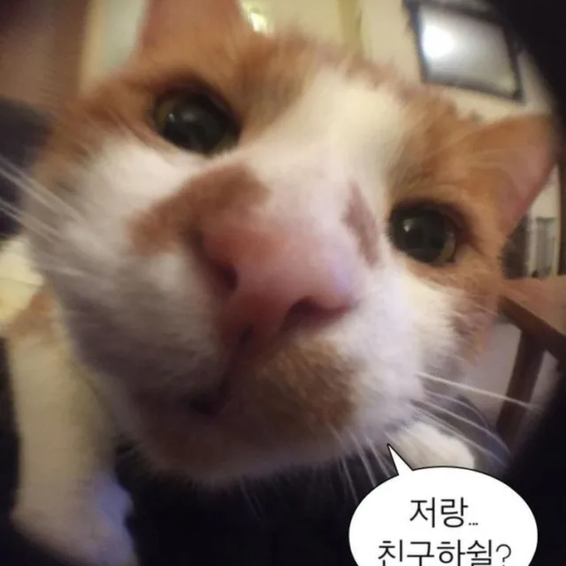 글쩍긍쩍
