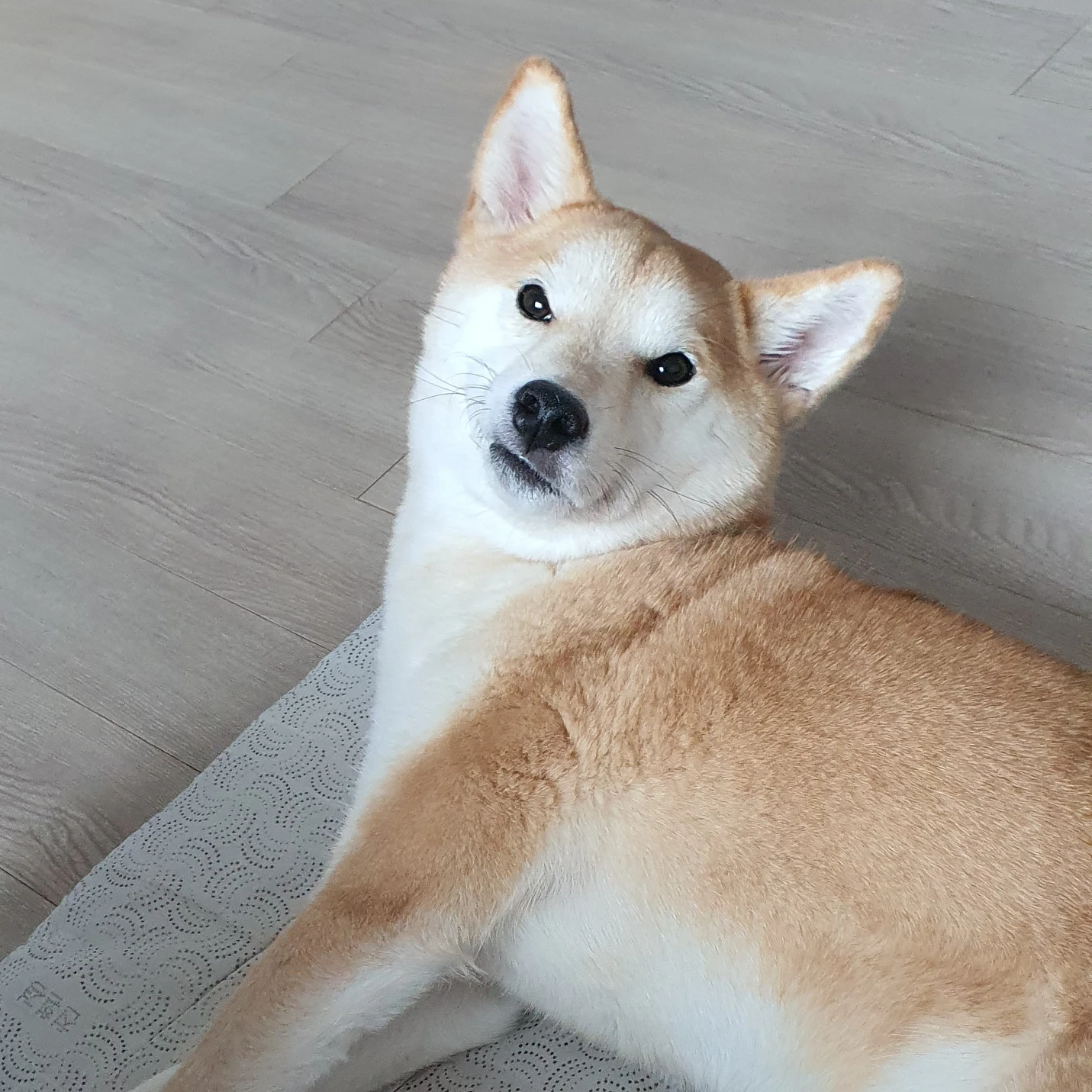새콤달콤
