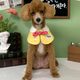 달려라사랑이