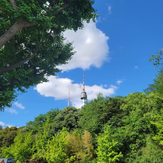 로시