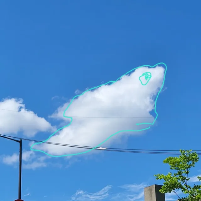 이콩