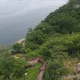 청심