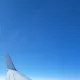 오로라