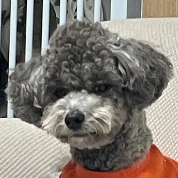 댕근