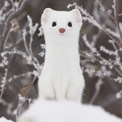 슝슝