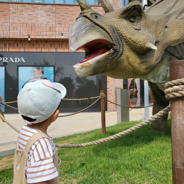 안쓰면팝니다