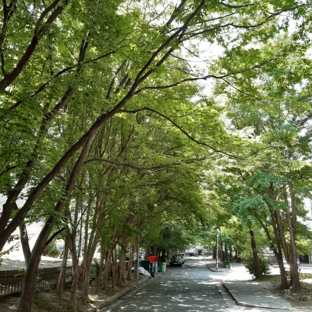 황금빛유리