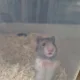예쁜