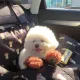 빵꾸똥꾸