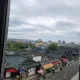 주니의쭈니