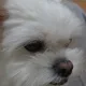 더블유