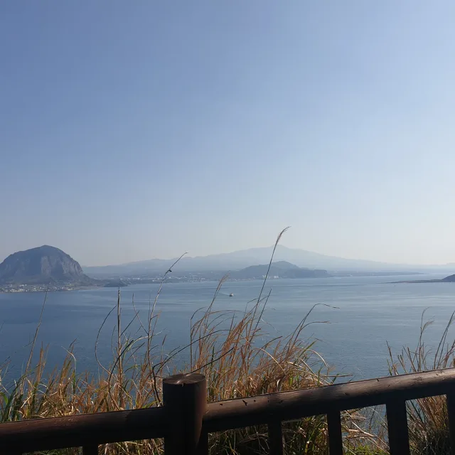 시작이반이다