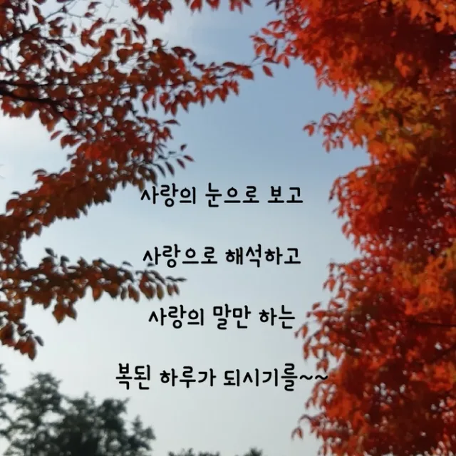 포맘