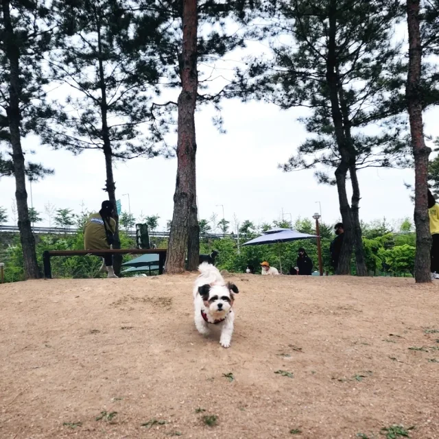부부장