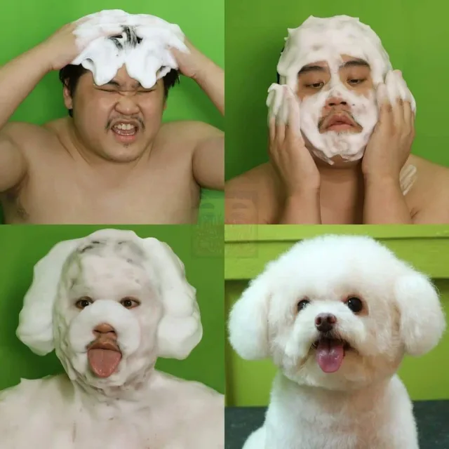 강아지만세