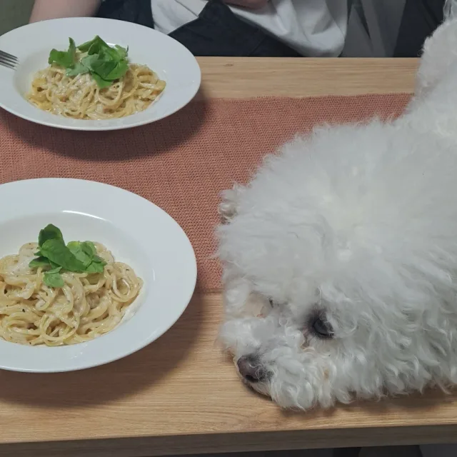 봄봄