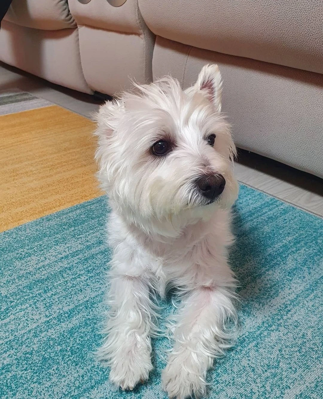 므엉