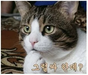 스윙