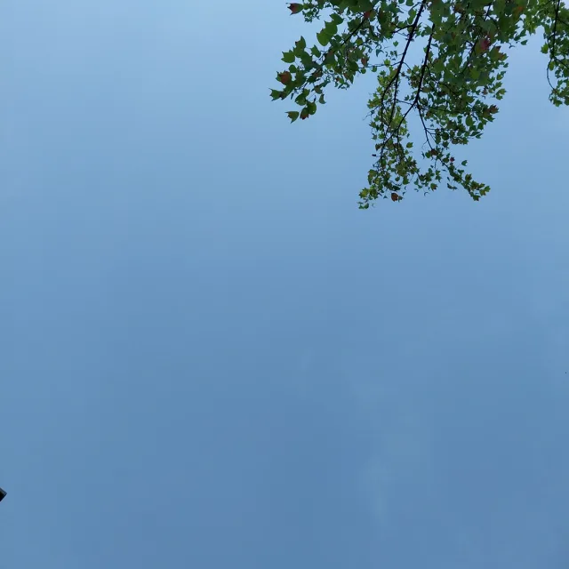 라임오렌지