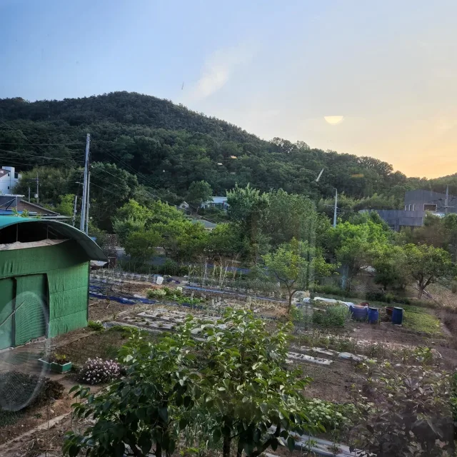 부지런한뚜기