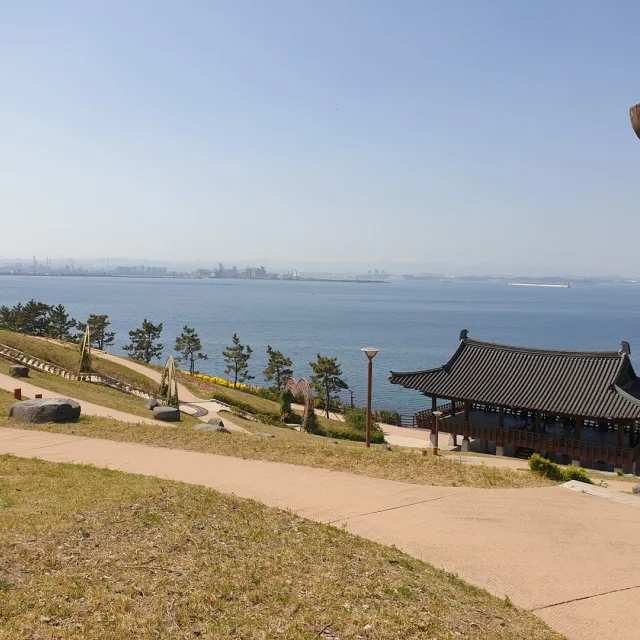 포항아재