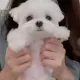 쿨쿨