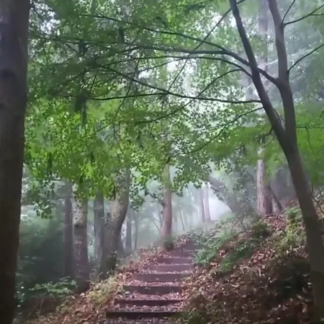 봄가을