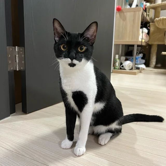 루루