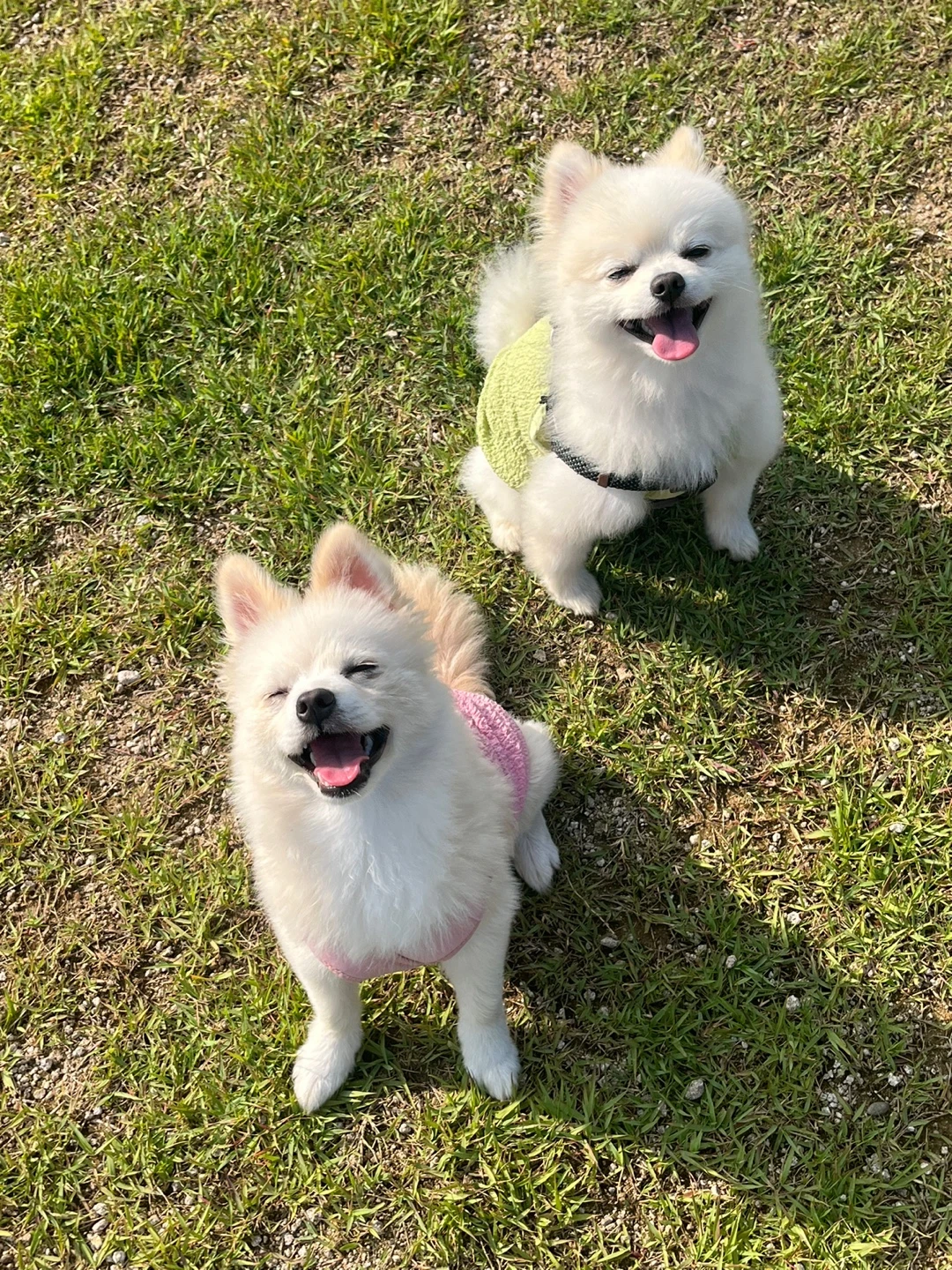 새별맘
