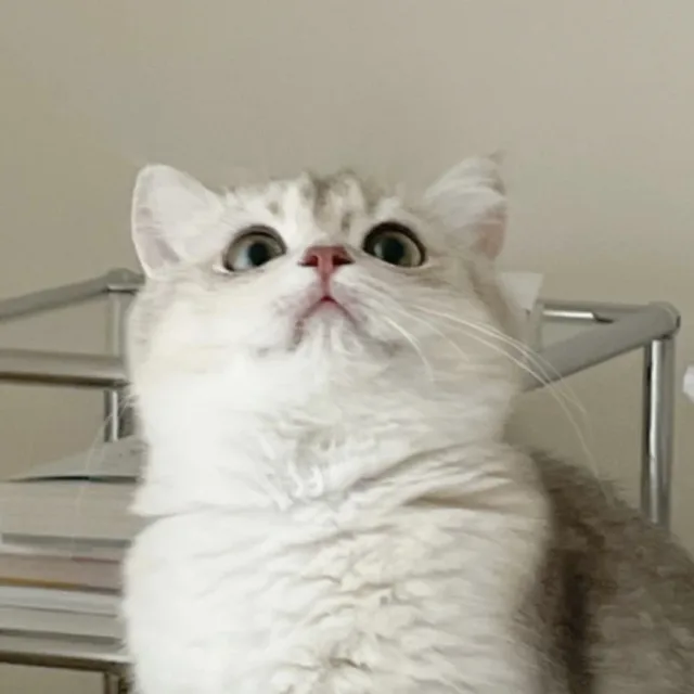 구두논평